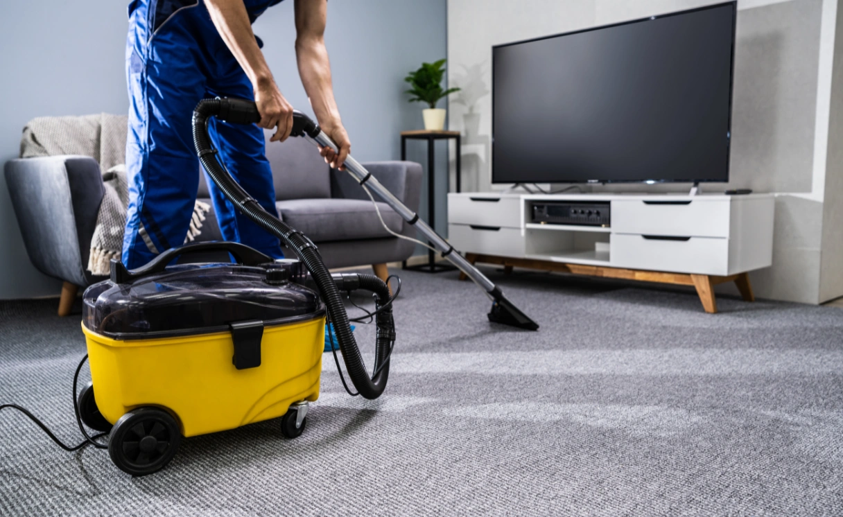 Extract Upholstery Cleaning Chum Creek Contact Office
